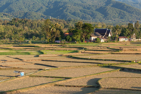 Huts on havested ricefield ,Nan province, Northern of Thailandの写真素材