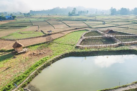 Huts on havested ricefield ,Nan province, Northern of Thailandの写真素材