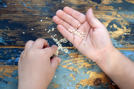 baby hands with sesame seeds on wooden background