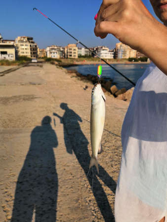 Hand holding a fish caught on a fishing line in lake. fish on a hook caught by a fishermanの写真素材
