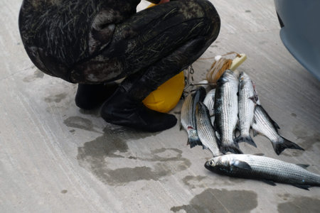 fisherman with caught fish. scuba diver with caught fish. Freshly fish caught one by one