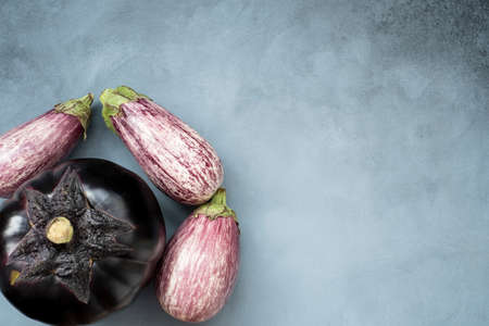 one round and three oval eggplant Violet concept a variety of healthy foodの写真素材