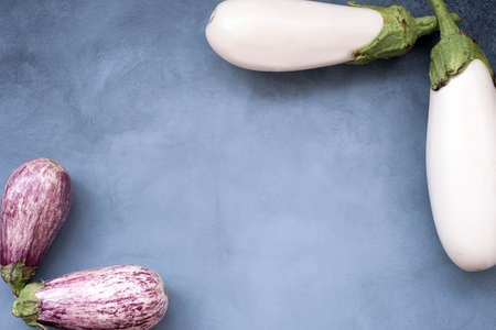 four oval eggplant white and violet mock up for concept a variety of healthy foodの写真素材