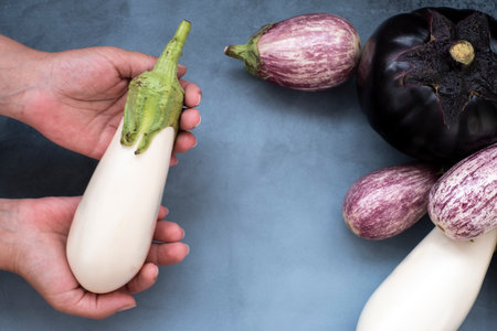 five oval eggplant white and violet in a womans hand. Mock up for concept a variety of healthy foodの写真素材