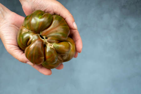 Ugly organic colorful tomatoes on grey. Concept organic vegetablesの写真素材