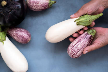 one round and five oval eggplant white and violet concept a variety of healthy foodの写真素材