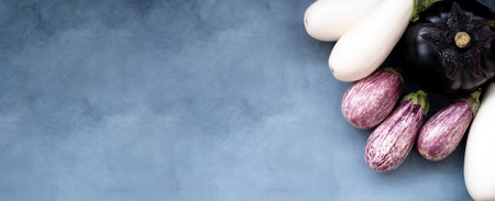 six oval eggplant white and violet concept a variety of healthy foodの写真素材