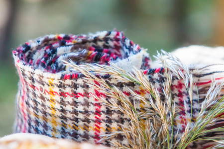 rolled tartan blanket in the park atumnの写真素材