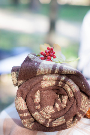 rolled tartan blanket in the park atumnの写真素材