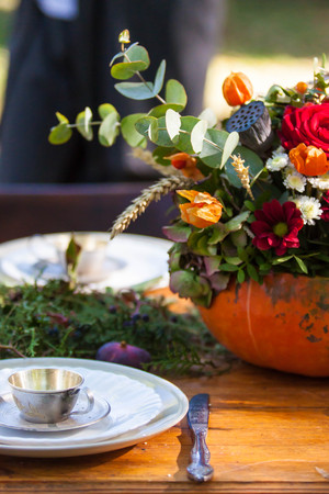 autumn pumpcin tea party in the Park table settingの写真素材