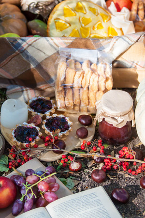 autumn picnic in the park with a basket and blanketの写真素材