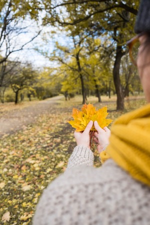 girl in a yellow scarf with maple leaves in her hands in the autumn parkの写真素材