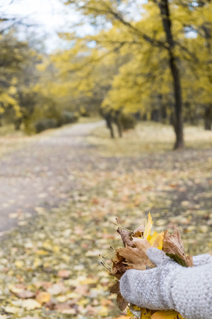 hands in mittens with maple leaves in the autumn parkの写真素材