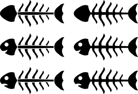 set of fish skeletons  vector illustration のイラスト素材