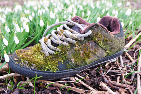 spring sneaker. early springの写真素材