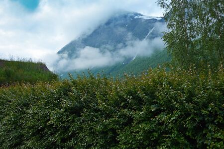 mountain in norwayの写真素材