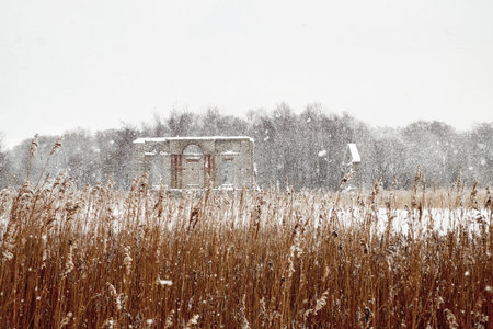ancient ruins and blizzardの写真素材