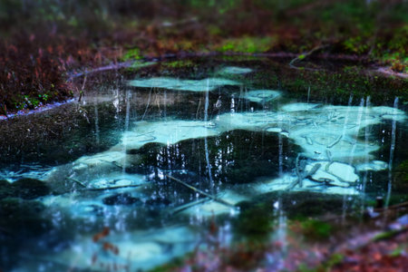 beautiful lake in Estonia. Siniallikad