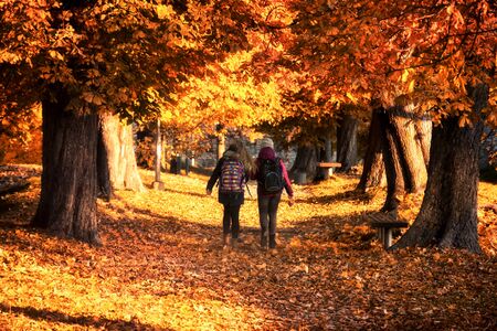 two girls and golden autumnの写真素材