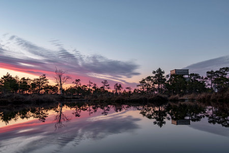 stunningly beautiful view of the evening sky over a forest lake