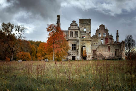 beatiful golden autumn in estoniaのeditorial素材