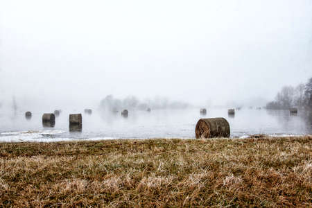 hay rolls in water and morning fogの写真素材