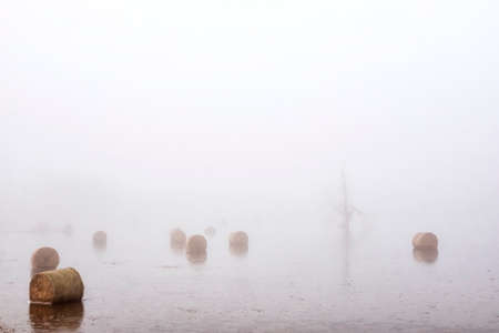 hay rolls in water and morning fogの写真素材