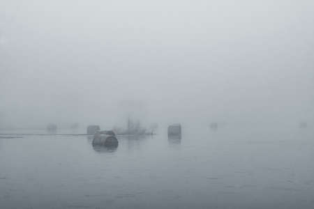 hay rolls in water and morning fogの写真素材