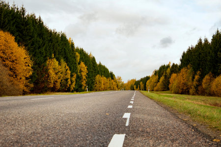 road to beautiful golden autumn