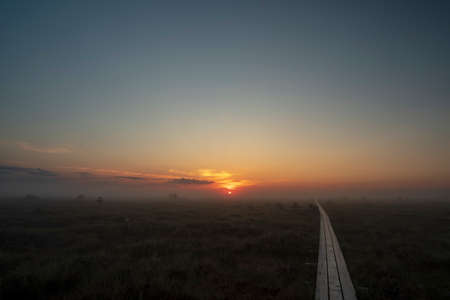 wooden road through the swampの写真素材