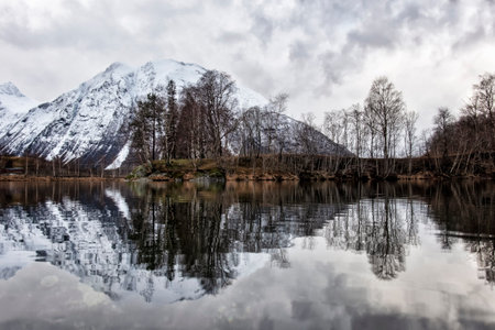 stunningly beautiful winter view of the Norwegian nature