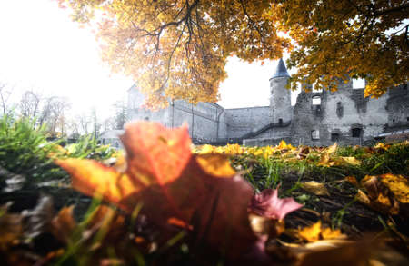 autumn castle landscape in haapsaluの写真素材