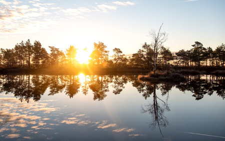 gorgeous sunrise on a bog lake in estoniaの写真素材