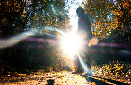the sun's rays and the road to autumnの写真素材