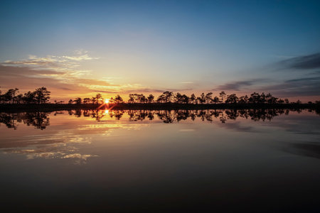 gorgeous sunset on a bog lake in estoniaの写真素材