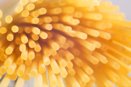 noodlesの写真素材