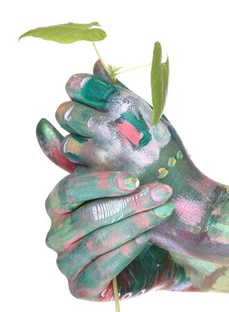 Green lifeの写真素材