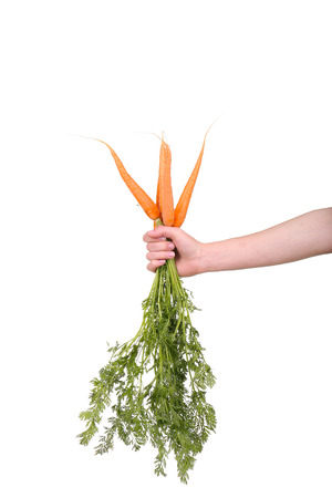 hand holding a bunch of carrots on whiteの写真素材