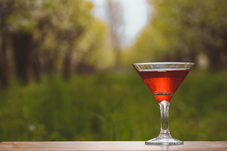 Wineglass with white wine in the blossoming apple orchardの写真素材