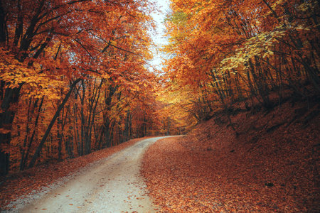 Beautiful autumn forest mountain path autumn mountain landscape. asphalt road going to mountains...
