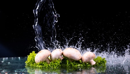 Mushrooms and salad with water drop splash on black background, with copy spaceの写真素材