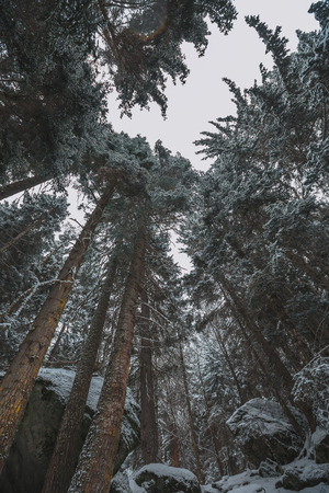 High mountains under snow in the winter. A series of photos of the Caucasus Mountains, ski resort Dombay, Karachay-Cherkessiaの写真素材