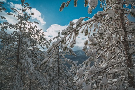 High mountains under snow in the winter. A series of photos of the Caucasus Mountains, ski resort Dombay, Karachay-Cherkessiaの写真素材