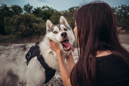 Beautiful girl plays with a dog grey and white husky in the mountains at sunset, summer mood, happy timeの写真素材