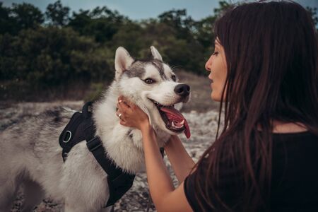 Beautiful girl plays with a dog grey and white husky in the mountains at sunset, summer mood, happy timeの写真素材