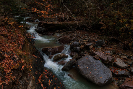 River deep in mountain forest. Nature composition. Mendelich River in the North Caucasus, Rosa...