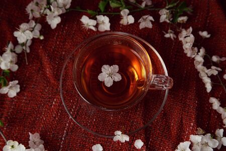 cup of tea and cherry brunches on table. Spring nature background with lovely blossom. Tea and flowers of cherry on red cozy background. Top view, banner. Springtime conceptの写真素材