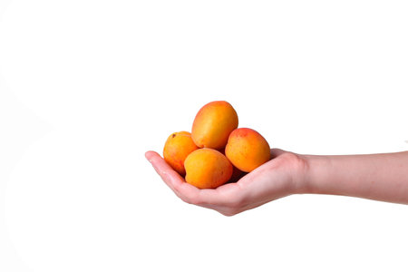 Female hand with tasty apricot on white background. Cream for hands and treatment or organic healthy...