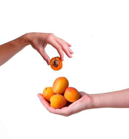 Female hand with tasty apricot on white background. Cream for hands and treatment or organic healthy food idea and conceptの写真素材
