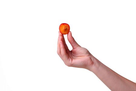 woman holds plum in hands on an isolated white background. idea and concept of healthy eatingの写真素材